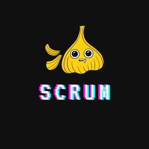 play Scrum Assessment Tool