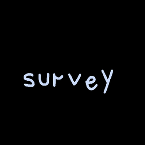 play The Survey