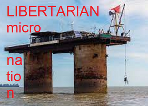 play Libertarian Micro Nation