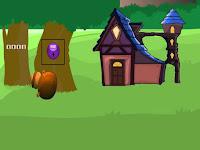 play G2M Bunny Rescue Html5