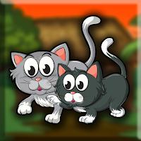 play G2J Kitten Brother Escape