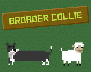 play Broader Collie
