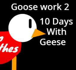 play Goose Work 2 Demo