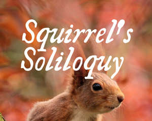 play Squirrel'S Soliloquy