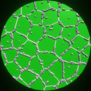 play Microscope Simulation