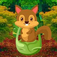 play Wow-Horticulture Squirrel Escape Html5