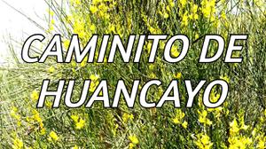 play Caminito De Huancayo