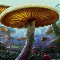 G2R-Fantasy Mushroom Land Escape Html5