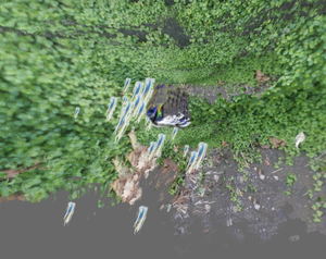 play Croftmode