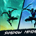 play Shadow Ninja Revenge