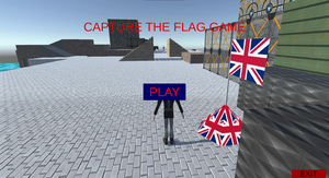 play Capture The Flag