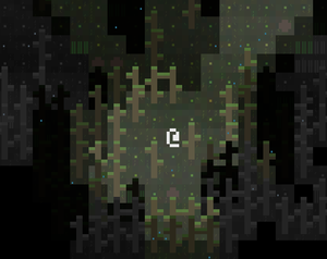 play Rain Forrest