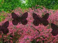 play Spring Pink Forest Escape