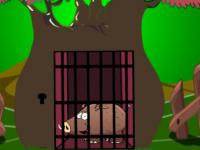 play Brown Piggy Escape