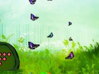 play Whimsical Fruit Escape