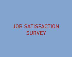 play Job Satisfaction Survey
