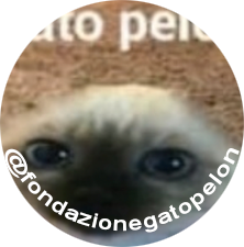 play Il Gioco Ufficiale Di Gato Pelon