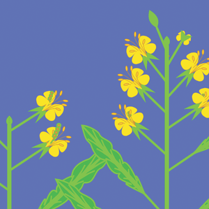 play Evolving Plants - Mustard