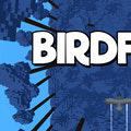 Birdfall