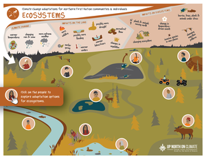 play Ecosystems Interactive