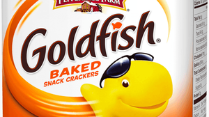 play Find The Goldfish
