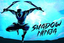 play Shadow Ninja Revenge