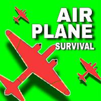 play Airplane Survival