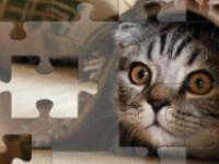 play Jigsaw Puzzle 2