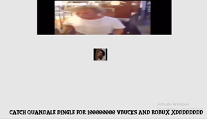 play Catch Quandale Dingle