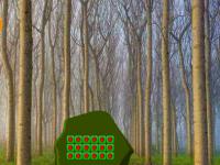 play Nature Tempere Forest Escape