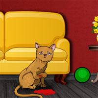 play G2J-Kitten-Rescue