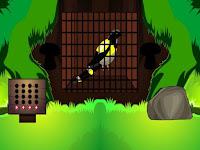 play G2L Black Bird Escape Html5