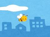 play Bee Adventure