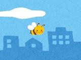 play Bee Adventure