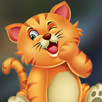 play Astute Cat Escape