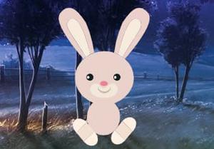 play Night Bunny Land Escape