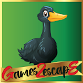 play G2E Black Duck Rescue Html5