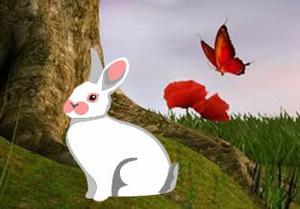 Easter Egg Fairy Escape