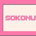 play Sokonumber