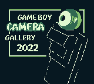play The Game Boy Camera Gallery 2022