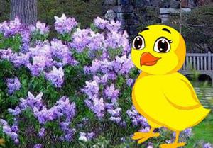 play Easter Scenery Escape