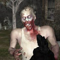 Zombie Mayhem Online