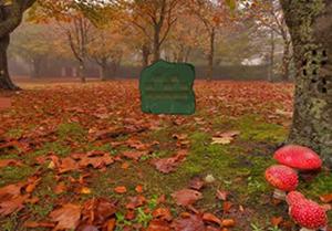 play Peaceful Spring Forest Escape