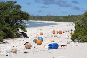 play Bring Back The Beach