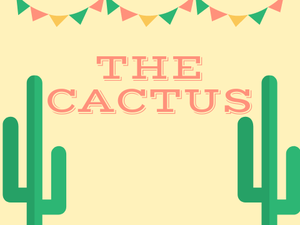 play The Cactus