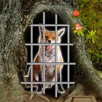 play Crazy-Fox-Escape-8Bgames