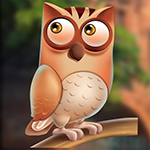 play Swish Owl Escape