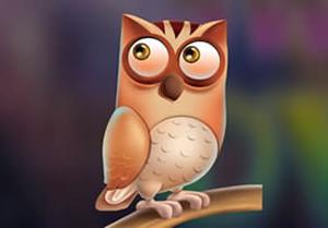 play Swish Owl Escape
