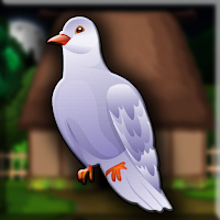 play G2J White Pigeon Bird Escape