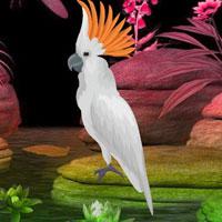 play Wow-Fantasy White Bird Escape Html5